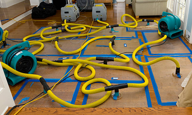 Professional Basement Flood Cleanup technician working in Westphalia, MD